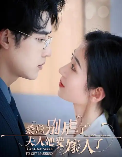 黄昏之约 电视剧 2017 中国